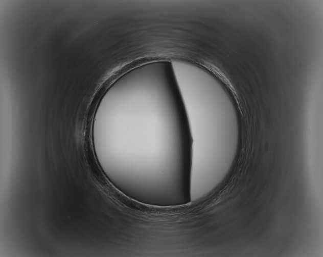 X0000086000483200703230852