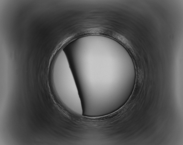 X0000086000486200703230852