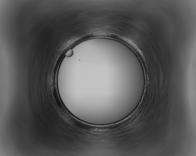 X0000086000487200703230852