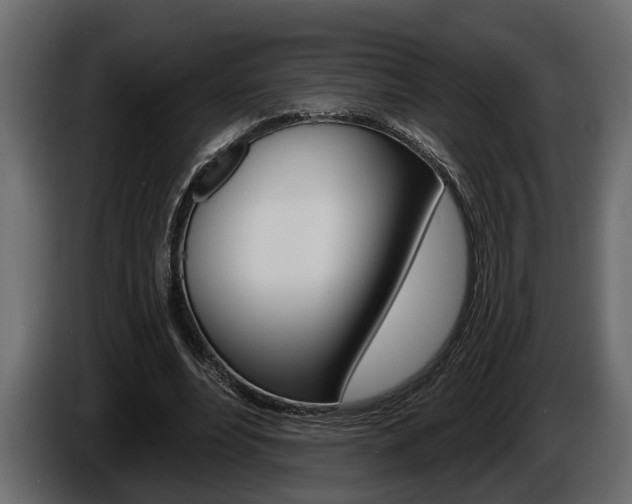 X0000086000488200703230852