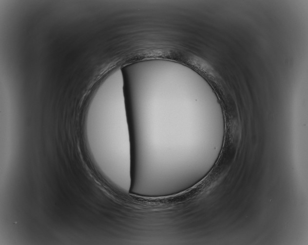 X0000086000490200703230852