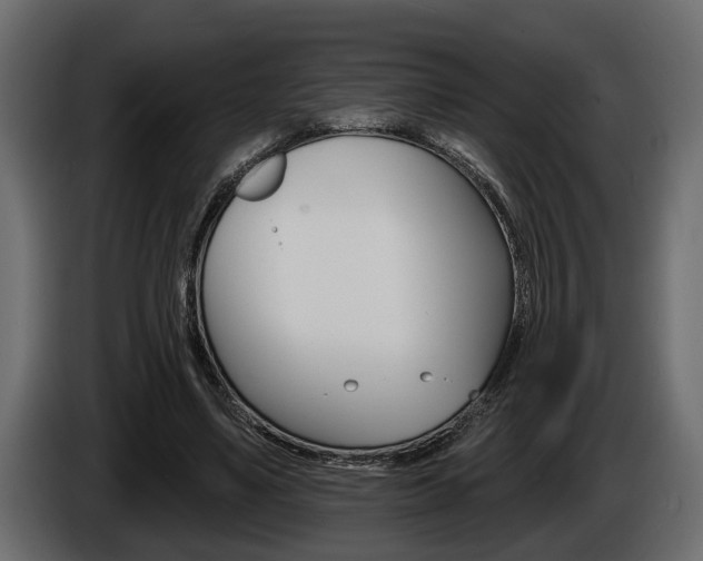X0000086000491200703230852