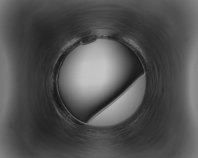 X0000086000492200703230852