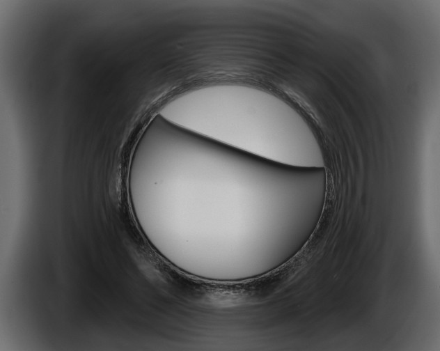 X0000086000494200703230852