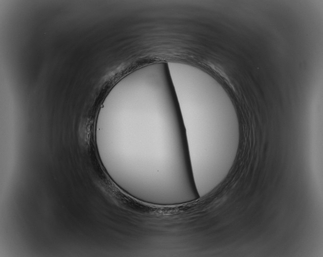 X0000086000495200703230852