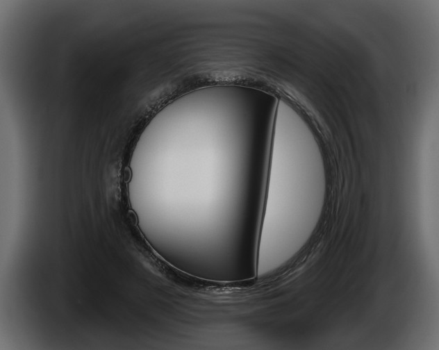 X0000086000497200703230852
