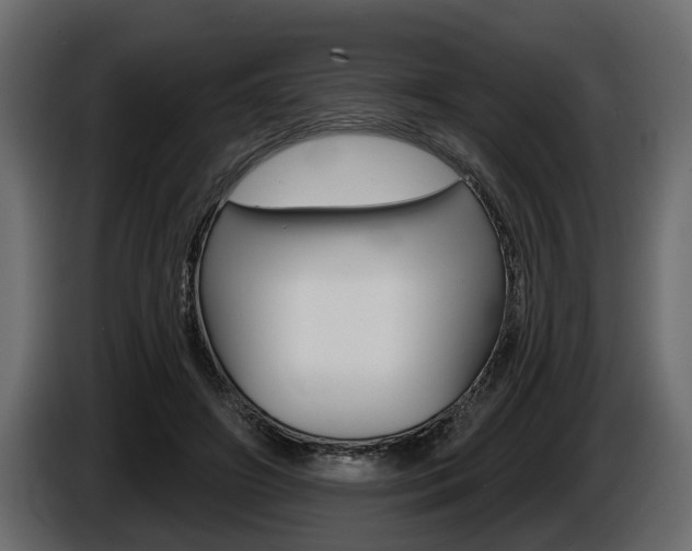 X0000086000498200703230852