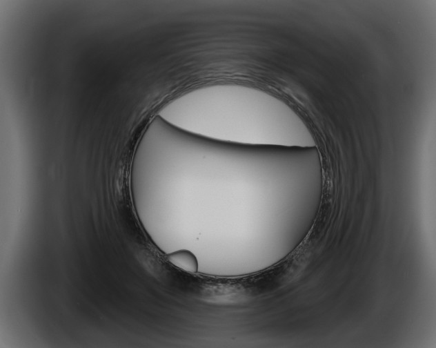 X0000086000503200703230852