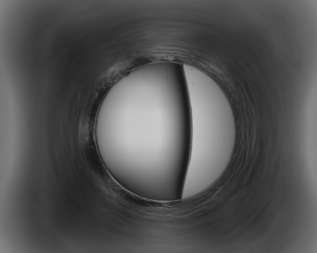 X0000086000504200703230852