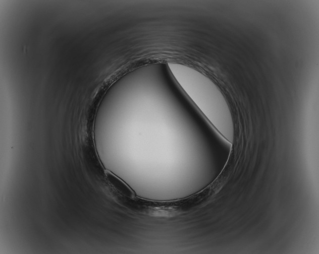 X0000086000508200703230852