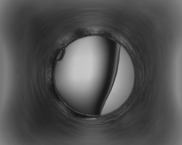 X0000086000509200703230852