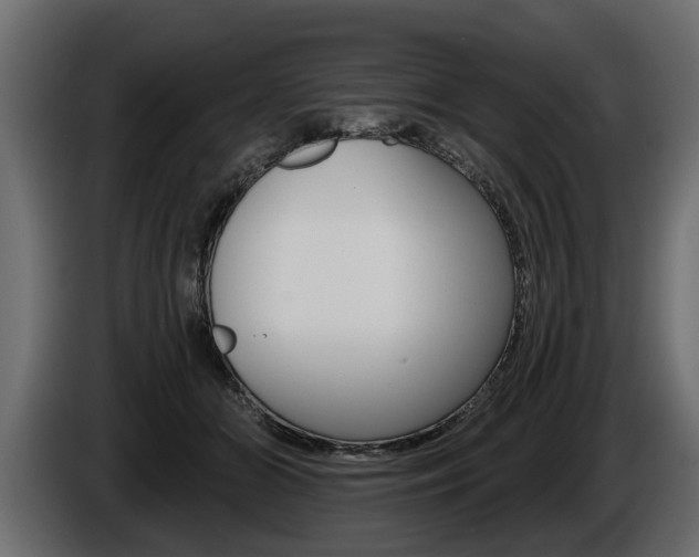 X0000086000510200703230852