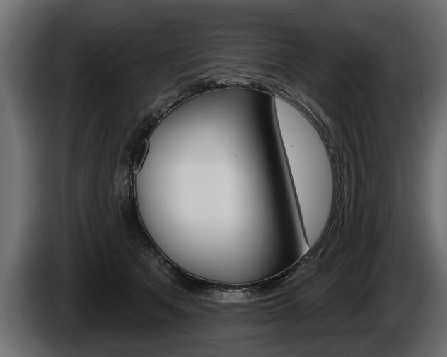 X0000086000513200703230852