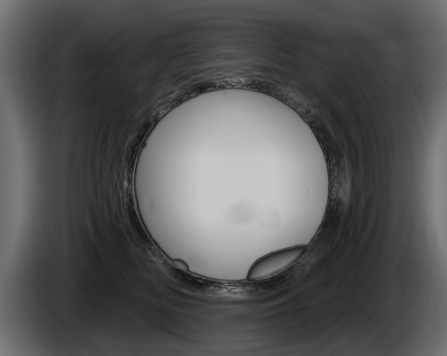 X0000086000518200703230852