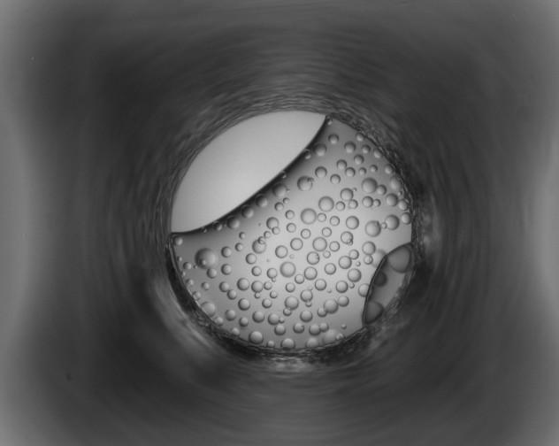 X0000086000519200703230852