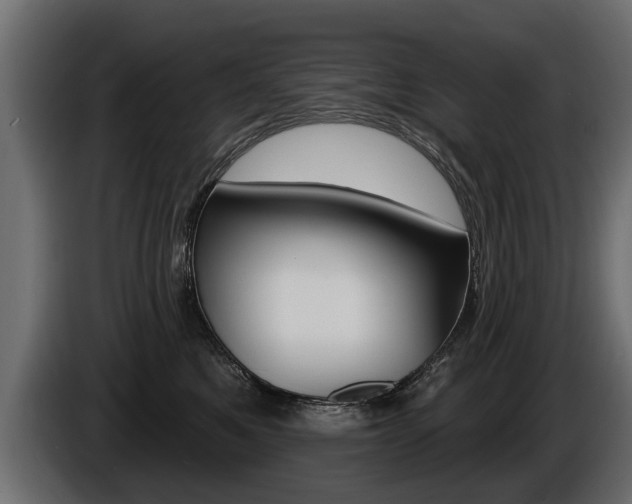 X0000086000521200703230852