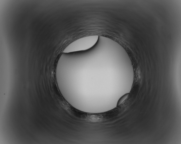 X0000086000522200703230852