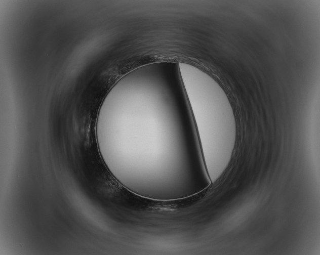 X0000086000525200703230852