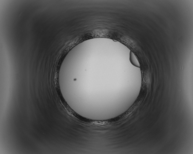 X0000086000526200703230852