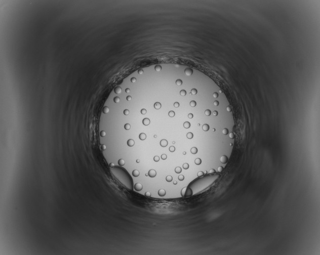 X0000086000527200703230852