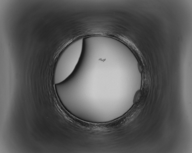 X0000086000529200703230851