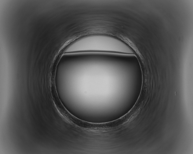 X0000086000530200703230851