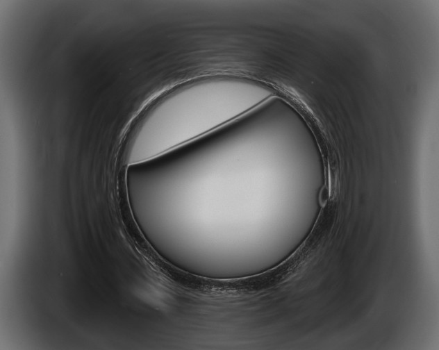 X0000086000531200703230851