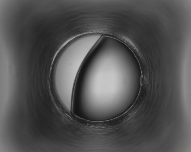 X0000086000532200703230851