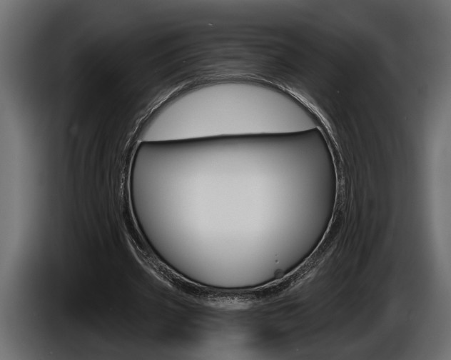 X0000086000533200703230851
