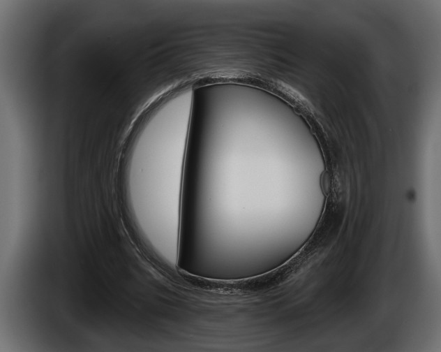 X0000086000535200703230851