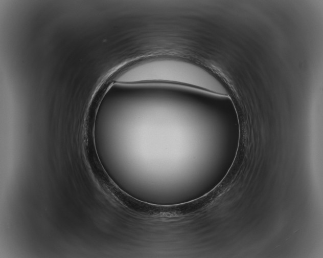 X0000086000536200703230851