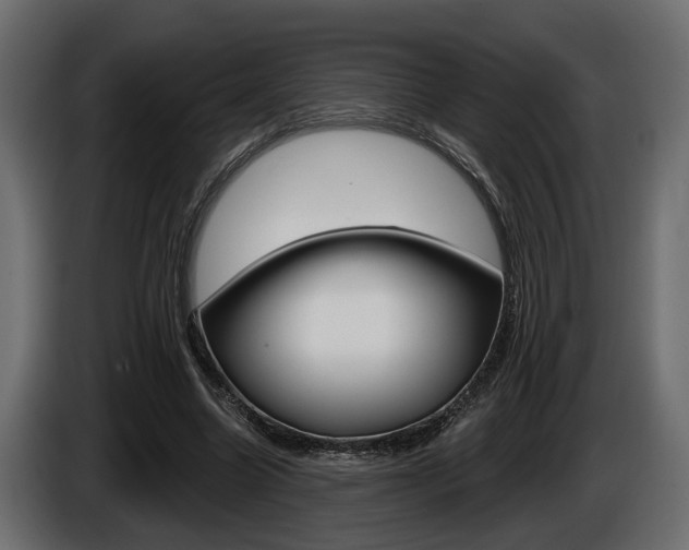 X0000086000538200703230851