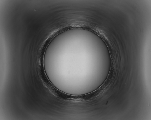 X0000086000539200703230851