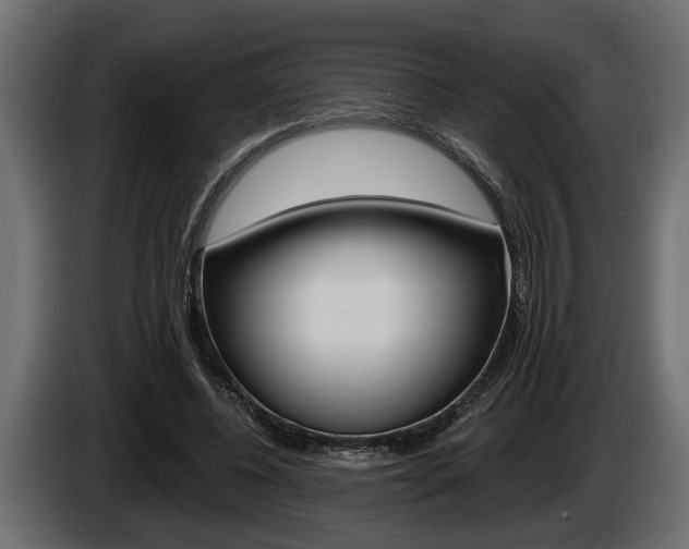 X0000086000540200703230851