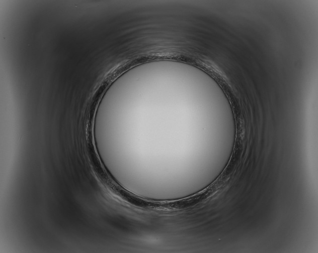 X0000086000542200703230851