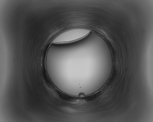 X0000086000543200703230851
