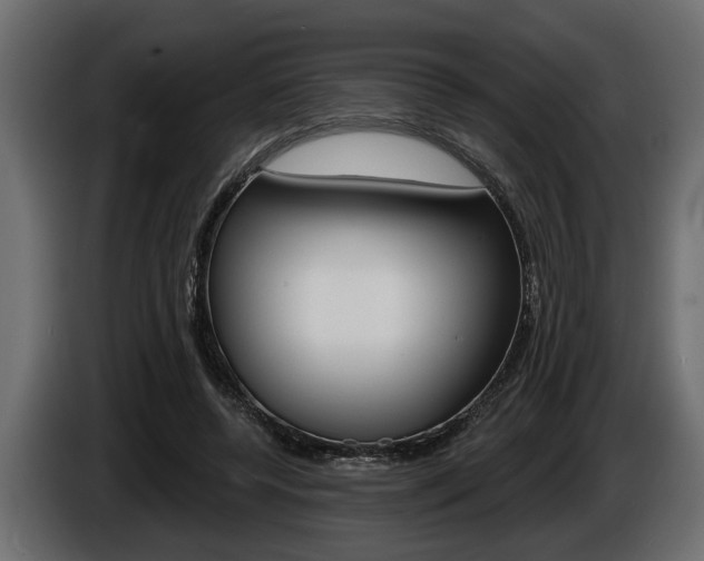 X0000086000544200703230851