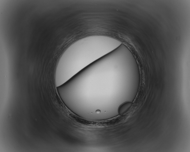 X0000086000545200703230851