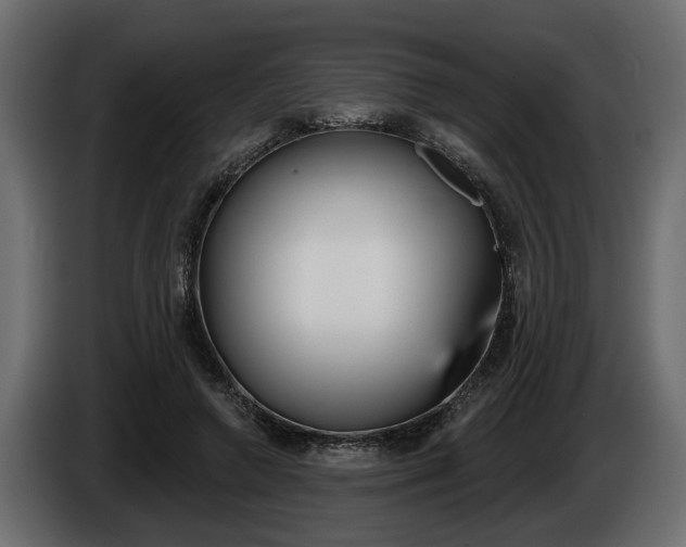 X0000086000546200703230851