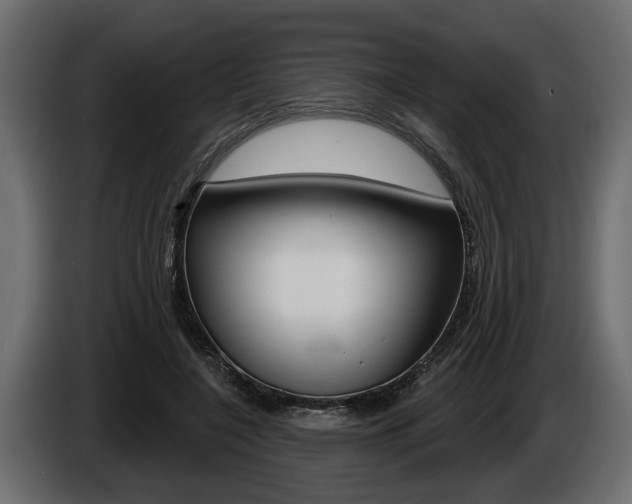 X0000086000548200703230851