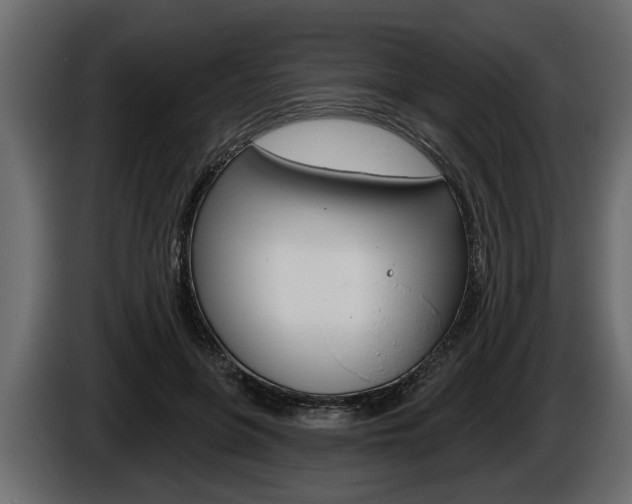X0000086000551200703230851