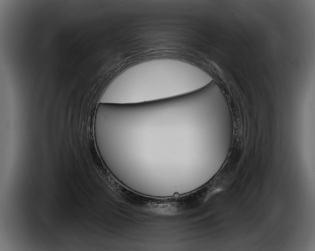 X0000086000553200703230851