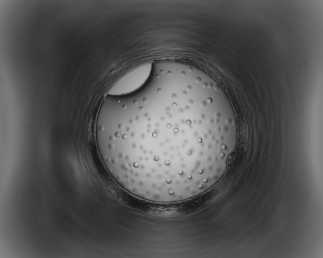 X0000086000554200703230851