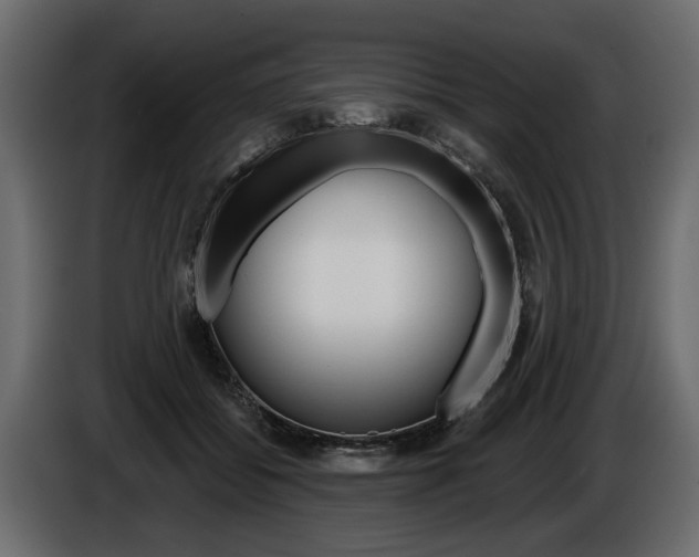X0000086000556200703230851