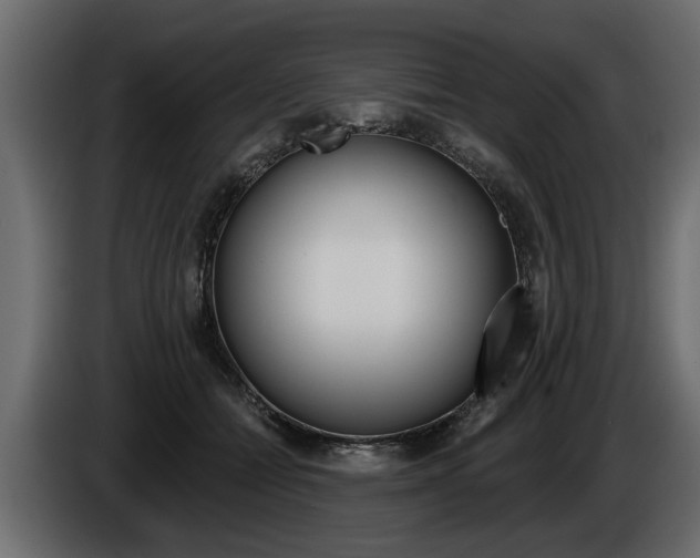 X0000086000558200703230851