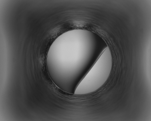 X0000086000559200703230851