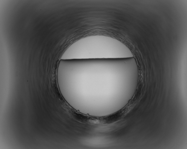 X0000086000561200703230851