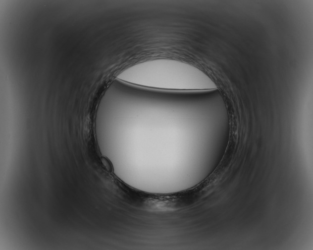 X0000086000563200703230851