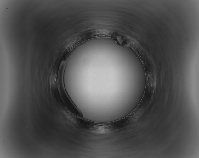 X0000086000564200703230851