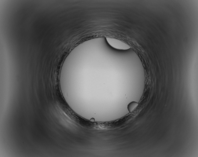 X0000086000565200703230851